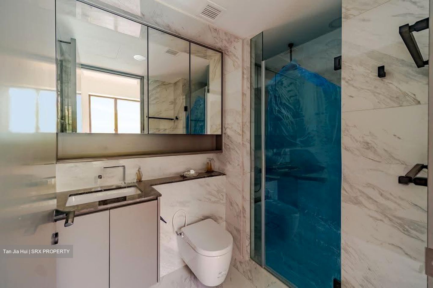 The Landmark (D3), Condominium #612596741
